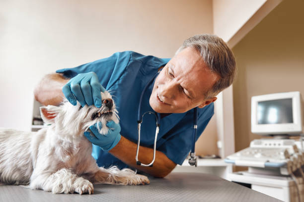 Best Emergency Tooth Extraction in Hyde, PA